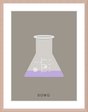 Load image into Gallery viewer, ERLENMEYER FLASK (LAB COLLECTION) 8x11