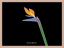 Load image into Gallery viewer, BIRD OF PARADISE 8x11