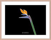 Load image into Gallery viewer, BIRD OF PARADISE 8x11