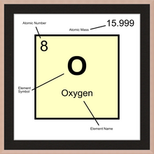 Load image into Gallery viewer, OXYGEN (LAB COLLECTION)12x12