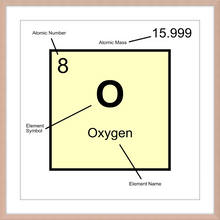 Load image into Gallery viewer, OXYGEN (LAB COLLECTION)12x12