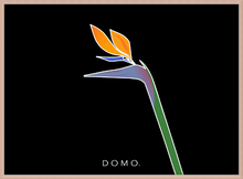 Load image into Gallery viewer, BIRD OF PARADISE 22x16