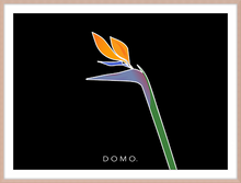 Load image into Gallery viewer, BIRD OF PARADISE 22x16