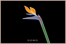 Load image into Gallery viewer, BIRD OF PARADISE 36x24