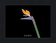 Load image into Gallery viewer, BIRD OF PARADISE 8x11