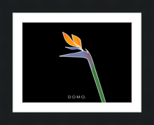 Load image into Gallery viewer, BIRD OF PARADISE 8x11
