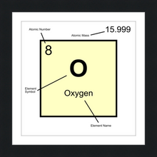 Load image into Gallery viewer, OXYGEN (LAB COLLECTION)12x12