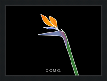 Load image into Gallery viewer, BIRD OF PARADISE 22x16