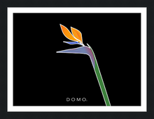Load image into Gallery viewer, BIRD OF PARADISE 22x16