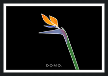 Load image into Gallery viewer, BIRD OF PARADISE 36x24