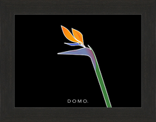 Load image into Gallery viewer, BIRD OF PARADISE 8x11
