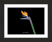 Load image into Gallery viewer, BIRD OF PARADISE 8x11