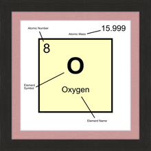 Load image into Gallery viewer, OXYGEN (LAB COLLECTION)12x12