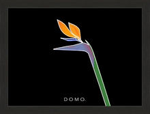 Load image into Gallery viewer, BIRD OF PARADISE 22x16
