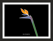 Load image into Gallery viewer, BIRD OF PARADISE 22x16