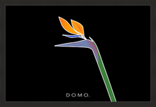 Load image into Gallery viewer, BIRD OF PARADISE 36x24
