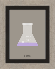 Load image into Gallery viewer, ERLENMEYER FLASK (LAB COLLECTION) 8x11
