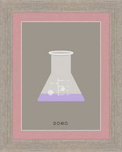 Load image into Gallery viewer, ERLENMEYER FLASK (LAB COLLECTION) 8x11