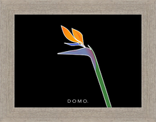Load image into Gallery viewer, BIRD OF PARADISE 8x11