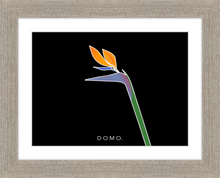 Load image into Gallery viewer, BIRD OF PARADISE 8x11