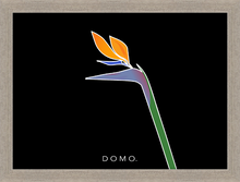 Load image into Gallery viewer, BIRD OF PARADISE 22x16