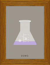 Load image into Gallery viewer, ERLENMEYER FLASK (LAB COLLECTION) 8x11