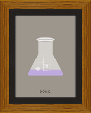 Load image into Gallery viewer, ERLENMEYER FLASK (LAB COLLECTION) 8x11