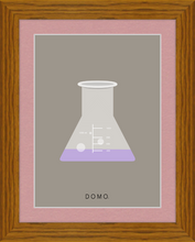 Load image into Gallery viewer, ERLENMEYER FLASK (LAB COLLECTION) 8x11