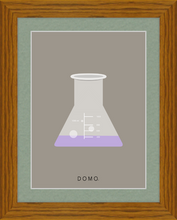 Load image into Gallery viewer, ERLENMEYER FLASK (LAB COLLECTION) 8x11