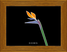 Load image into Gallery viewer, BIRD OF PARADISE 8x11