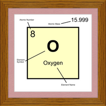Load image into Gallery viewer, OXYGEN (LAB COLLECTION)12x12