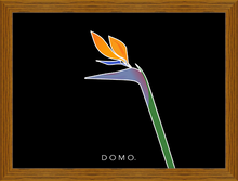 Load image into Gallery viewer, BIRD OF PARADISE 22x16