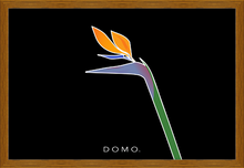 Load image into Gallery viewer, BIRD OF PARADISE 36x24