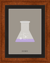 Load image into Gallery viewer, ERLENMEYER FLASK (LAB COLLECTION) 8x11