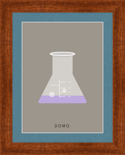Load image into Gallery viewer, ERLENMEYER FLASK (LAB COLLECTION) 8x11