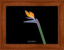 Load image into Gallery viewer, BIRD OF PARADISE 8x11