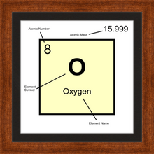 Load image into Gallery viewer, OXYGEN (LAB COLLECTION)12x12