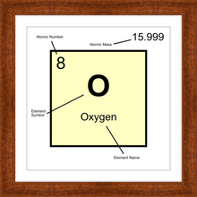 Load image into Gallery viewer, OXYGEN (LAB COLLECTION)12x12