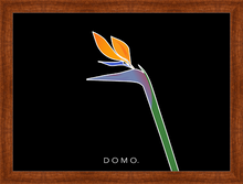 Load image into Gallery viewer, BIRD OF PARADISE 22x16