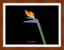 Load image into Gallery viewer, BIRD OF PARADISE 22x16