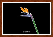 Load image into Gallery viewer, BIRD OF PARADISE 36x24