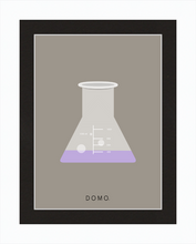 Load image into Gallery viewer, ERLENMEYER FLASK (LAB COLLECTION) 8x11