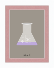 Load image into Gallery viewer, ERLENMEYER FLASK (LAB COLLECTION) 8x11