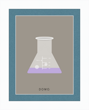 Load image into Gallery viewer, ERLENMEYER FLASK (LAB COLLECTION) 8x11