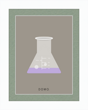 Load image into Gallery viewer, ERLENMEYER FLASK (LAB COLLECTION) 8x11