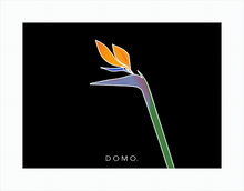 Load image into Gallery viewer, BIRD OF PARADISE 8x11