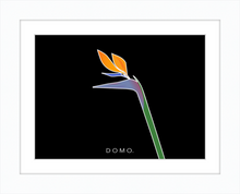 Load image into Gallery viewer, BIRD OF PARADISE 8x11
