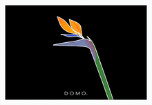 Load image into Gallery viewer, BIRD OF PARADISE 36x24