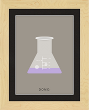 Load image into Gallery viewer, ERLENMEYER FLASK (LAB COLLECTION) 8x11