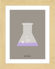 Load image into Gallery viewer, ERLENMEYER FLASK (LAB COLLECTION) 8x11